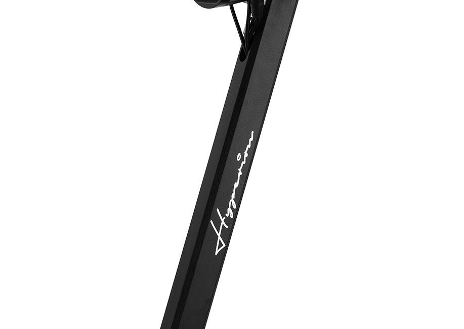 GoEcoRide Hyperion Electric Scooter (New)