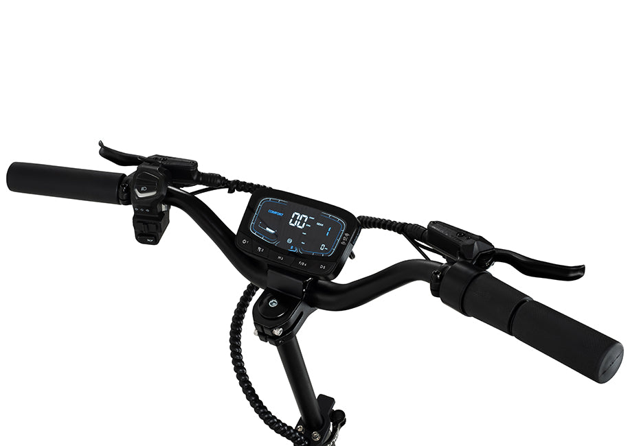 GoEcoRide P1 Pro Electric Scooter