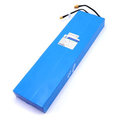 GoEcoRide E1 48V Replacement Battery