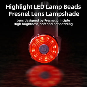 Bright LED Lamp Bead Tail Light For Scooter Rear Saddle - GoEcoRide Scooters - GoEcoRide Scooters